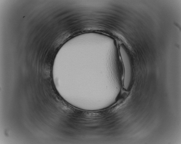 X0000098040833200804251037