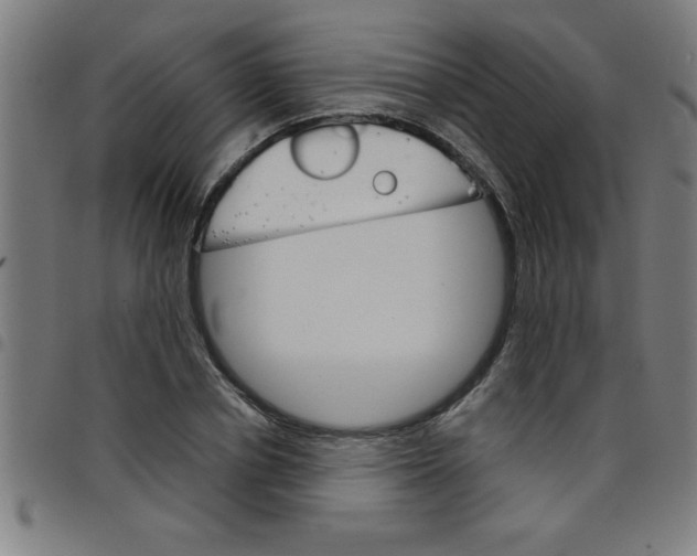 X0000098040834200804251037