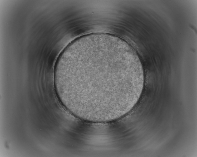 X0000098040836200804251037