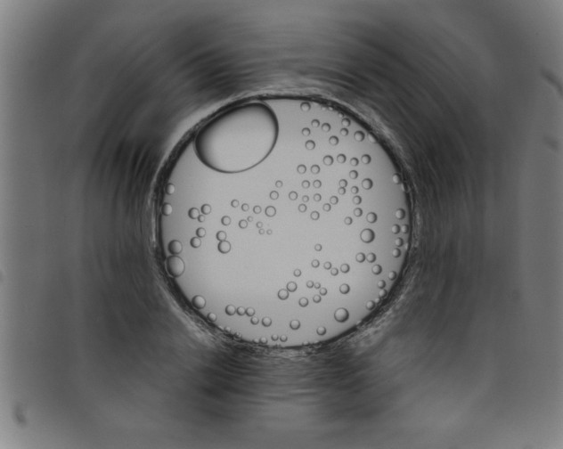 X0000098040838200804251038