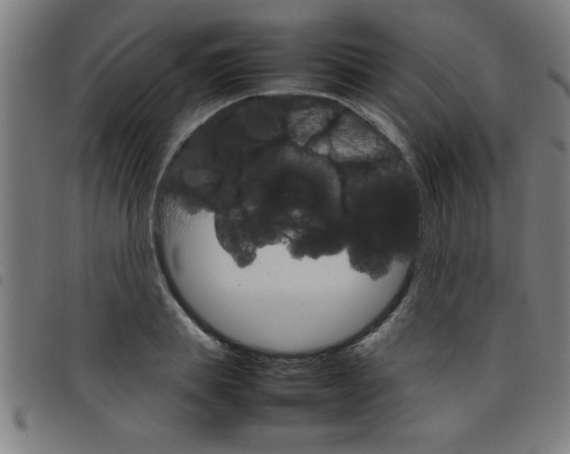 X0000098040839200804251038