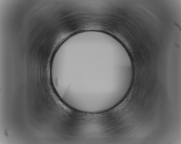 X0000098040840200804251038