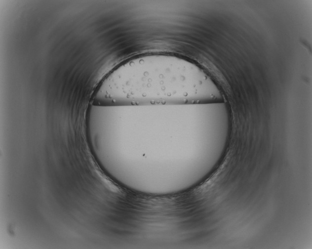 X0000098040842200804251038