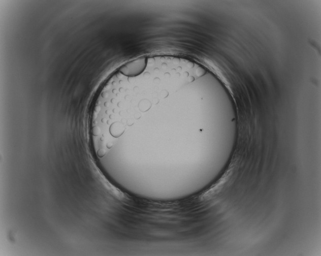 X0000098040843200804251038