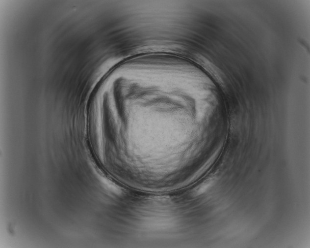 X0000098040844200804251038