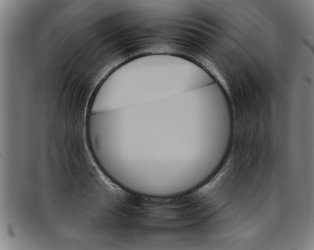 X0000098040845200804251038