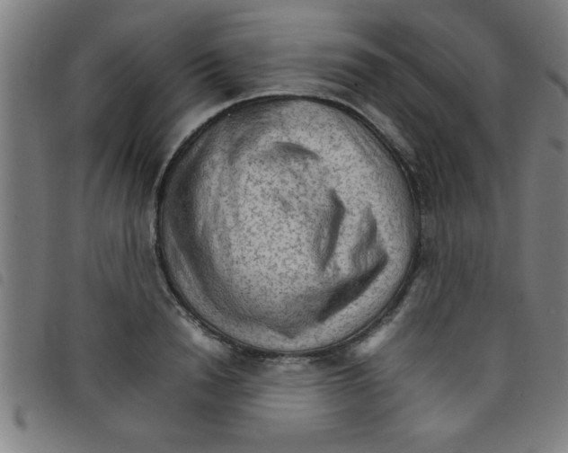 X0000098040846200804251038