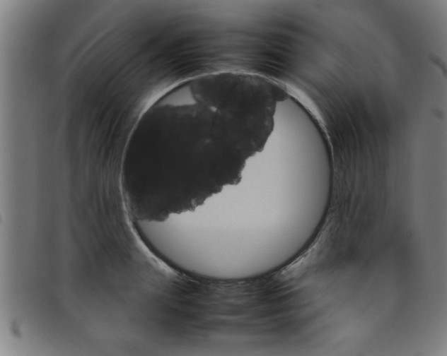 X0000098040847200804251038