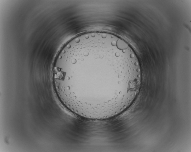 X0000098040848200804251038