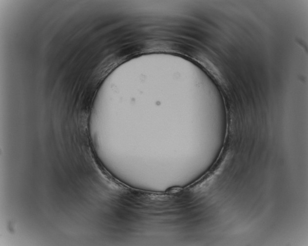 X0000098040849200804251038