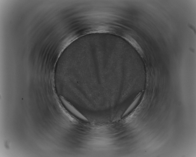 X0000098040850200804251038