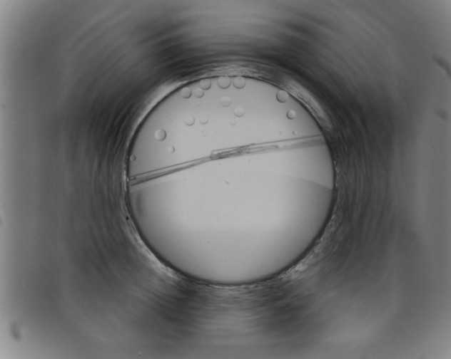 X0000098040852200804251038