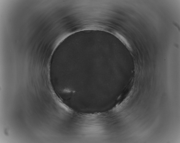 X0000098040854200804251038