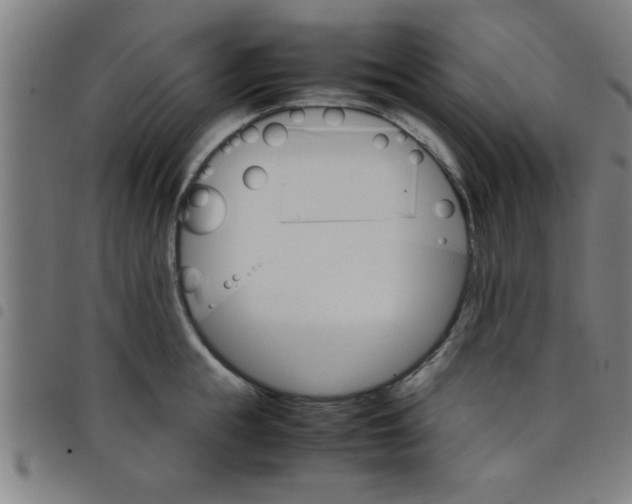 X0000098040855200804251038