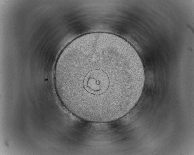 X0000098040856200804251038