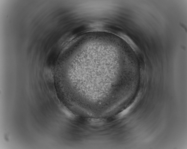 X0000098040857200804251038