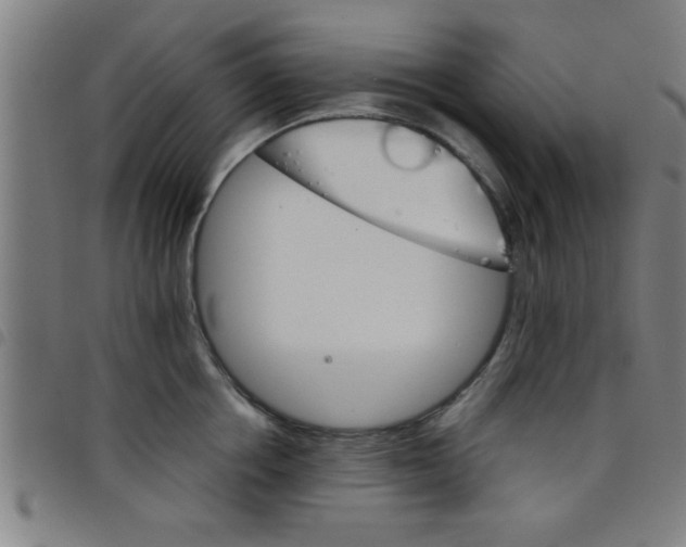 X0000098040858200804251038