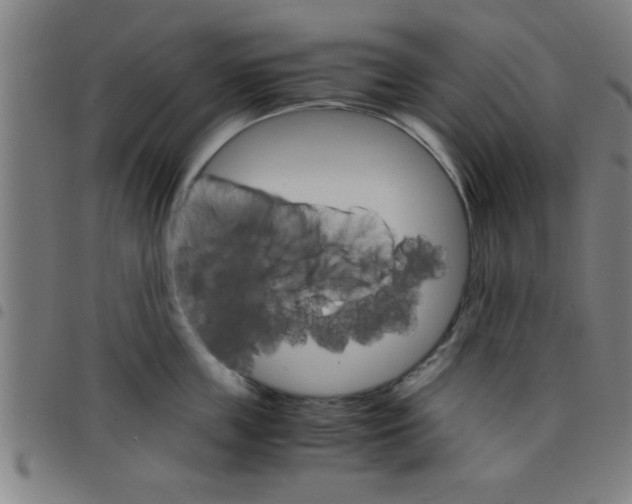 X0000098040859200804251038