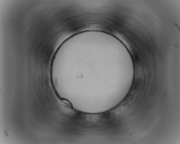 X0000098040861200804251038