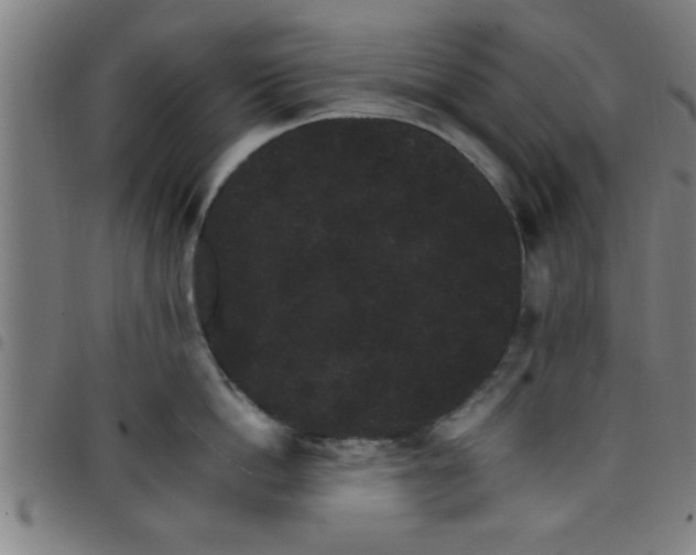 X0000098040862200804251038