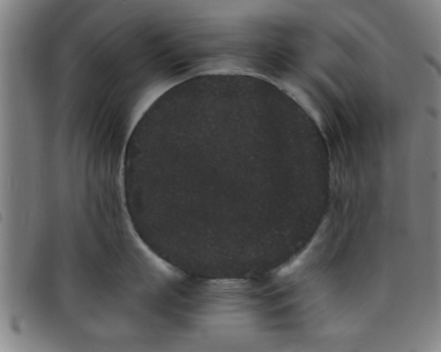 X0000098040863200804251038