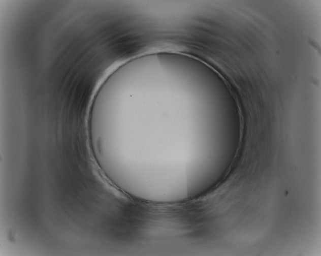 X0000098040864200804251038