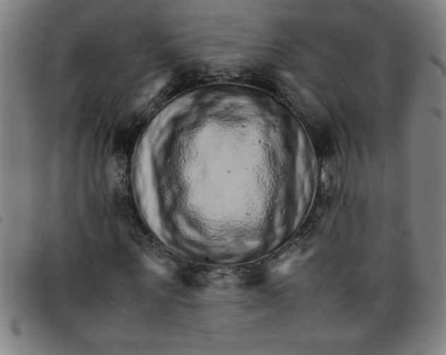 X0000098040867200804251037