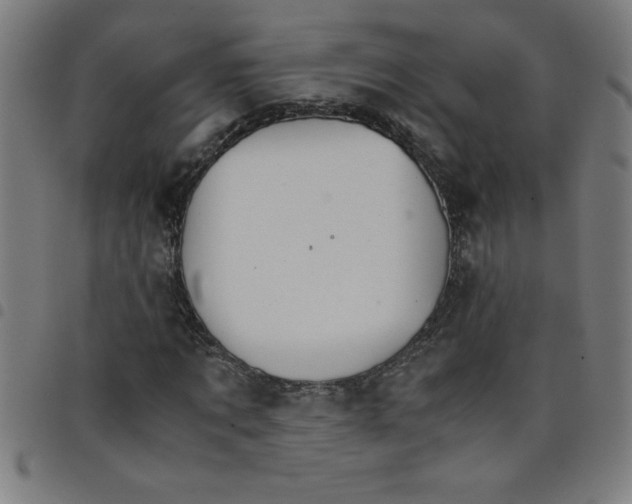 X0000098040869200804251037