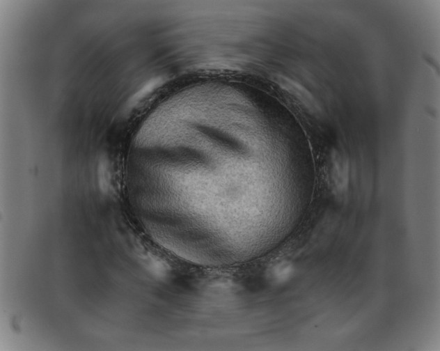 X0000098040870200804251037