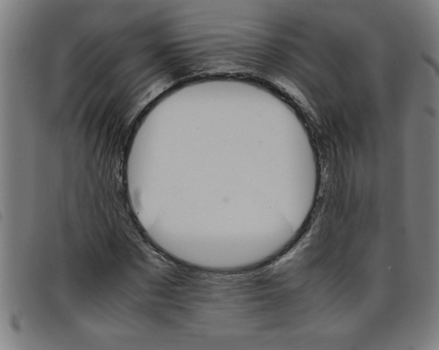 X0000098040873200804251037