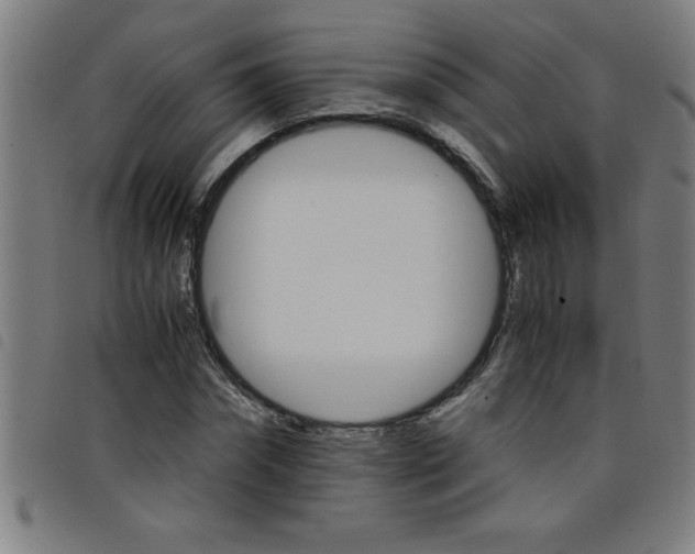 X0000098040874200804251037