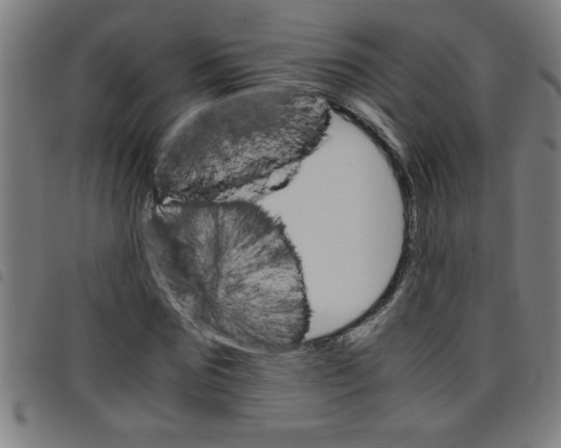 X0000098040875200804251037