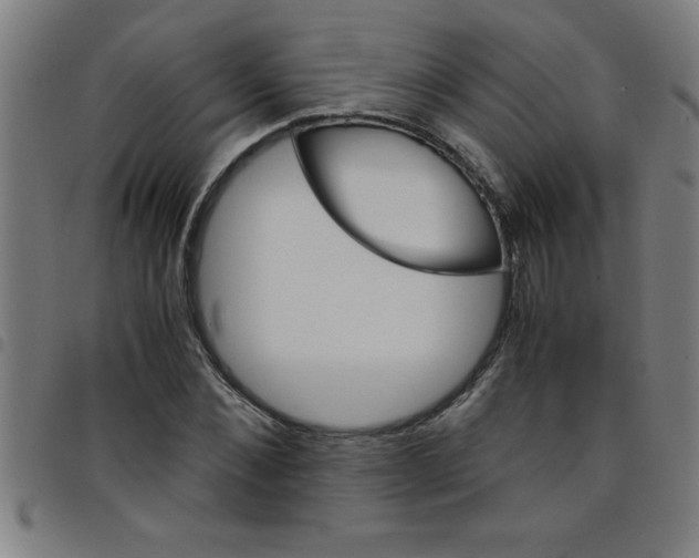 X0000098040876200804251037