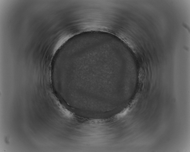 X0000098040877200804251037