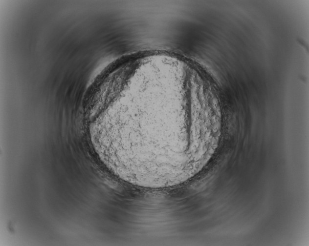 X0000098040878200804251037