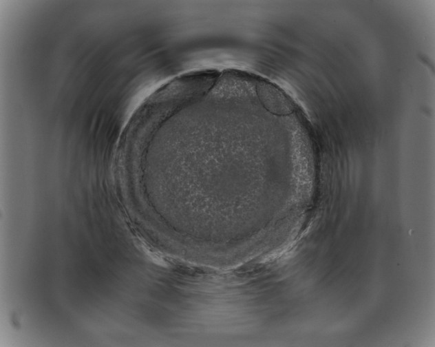 X0000098040879200804251037