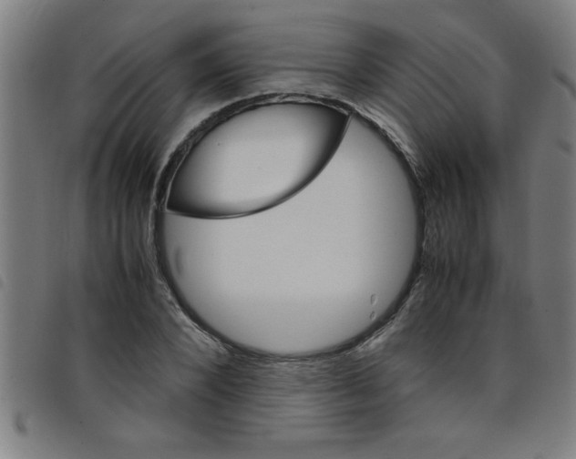 X0000098040880200804251037