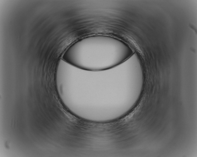 X0000098040881200804251037