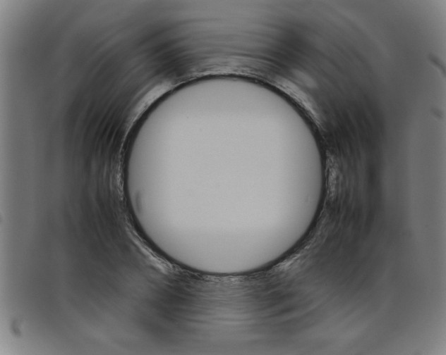 X0000098040882200804251037