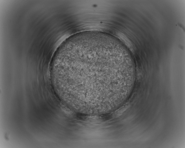 X0000098040883200804251037