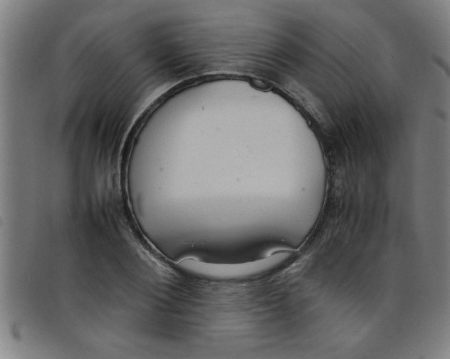 X0000098040884200804251037