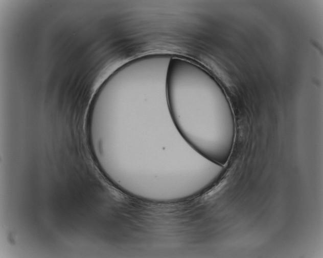 X0000098040885200804251037