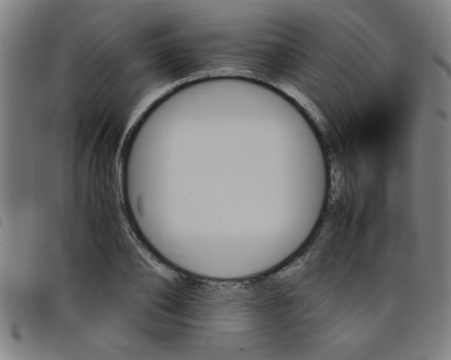 X0000098040886200804251037