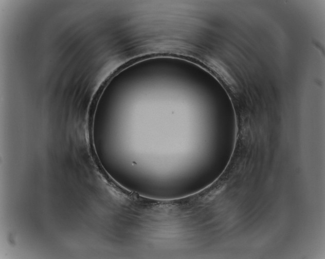 X0000098040888200804251037