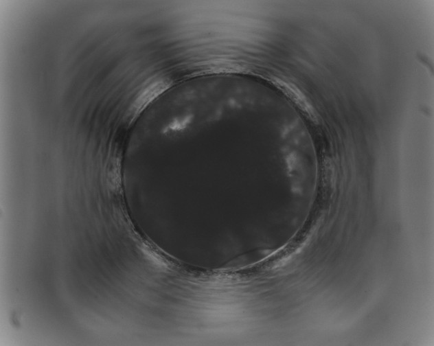 X0000098040889200804251037