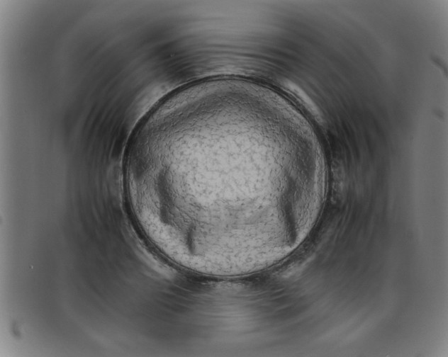 X0000098040890200804251037