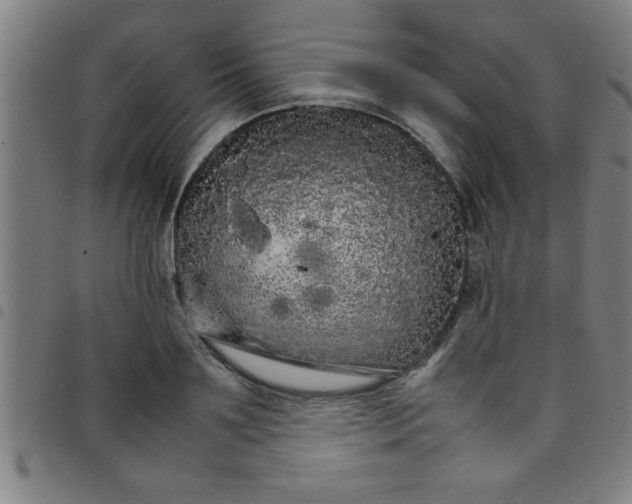 X0000098040891200804251037