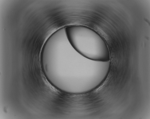 X0000098040892200804251037