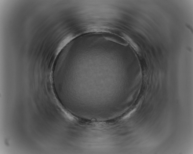 X0000098040893200804251037