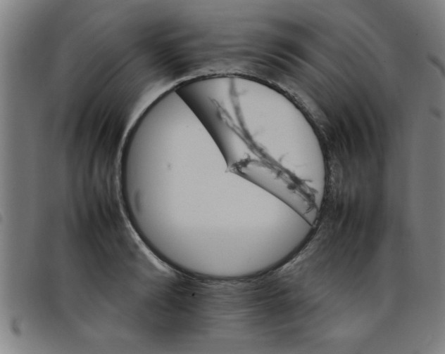 X0000098040894200804251037